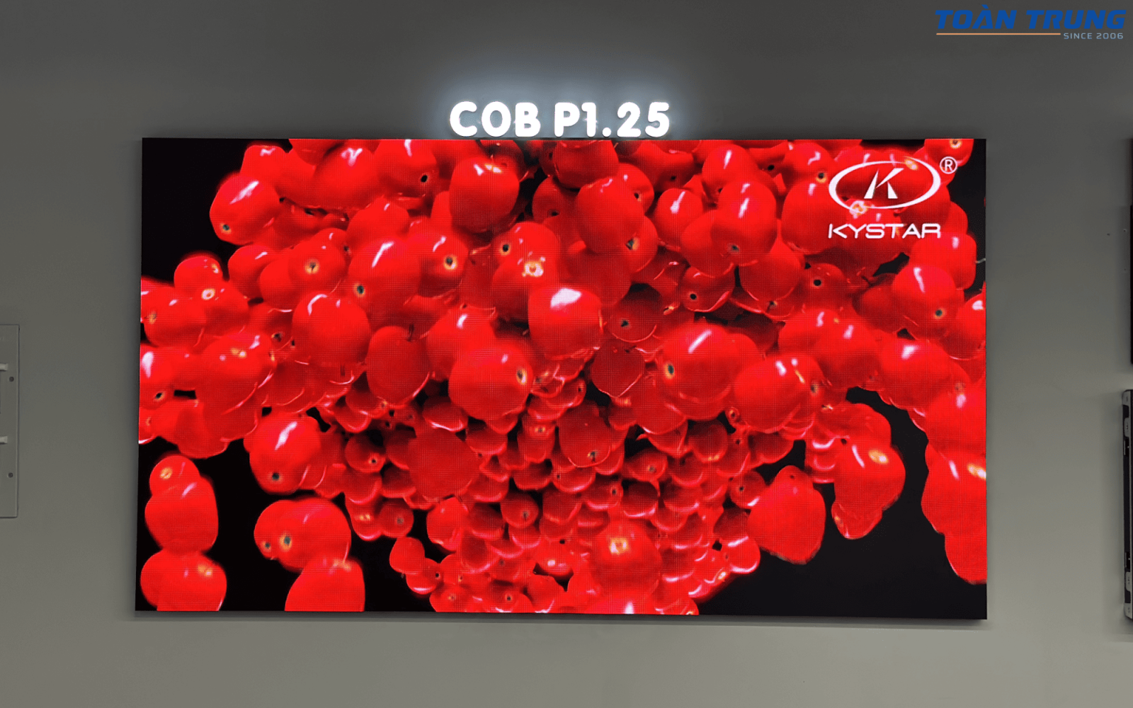 màn hình LED COB
