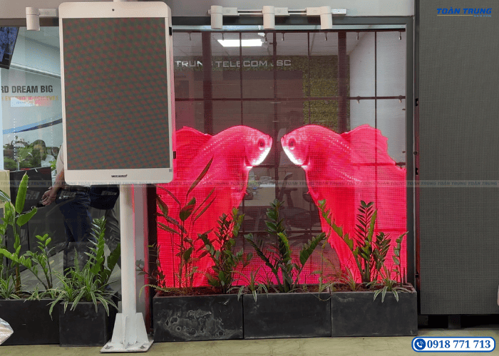 Màn hình LED trong suốt